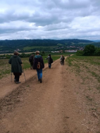 Vycházky a výlety 2025