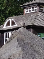 Ozdravný pobyt v Jeseníkách v říjnu 2025