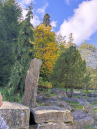 Ozdravný pobyt v Jeseníkách v říjnu 2025