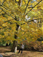 Ozdravný pobyt v Jeseníkách v říjnu 2025