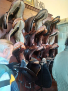 Hřebčín Slatiňany 2025