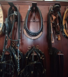 Hřebčín Slatiňany 2025