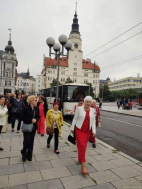 DIVADLO OPAVA "ŠUMAŘ NA STŘEŠE"