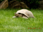 20.5.2025- Výlet Praha- ZOO, botanická 