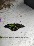 20.5.2025- Výlet Praha- ZOO, botanická 