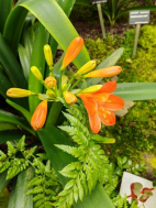 20.5.2025- Výlet Praha- ZOO, botanická 