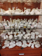 Ozdravný pobyt Kralupy nad Vltavou