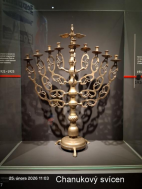 25.2.2025-Muzeum Karlovy Vary, Bochov muzeum slonů