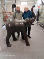 25.2.2025-Muzeum Karlovy Vary, Bochov muzeum slonů