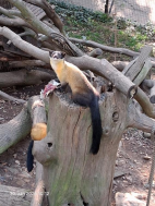 30.9.2025- ZOO Chomutov