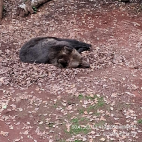 30.9.2025- ZOO Chomutov