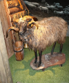 MUZEA JABLUNKOV, TŘINEC